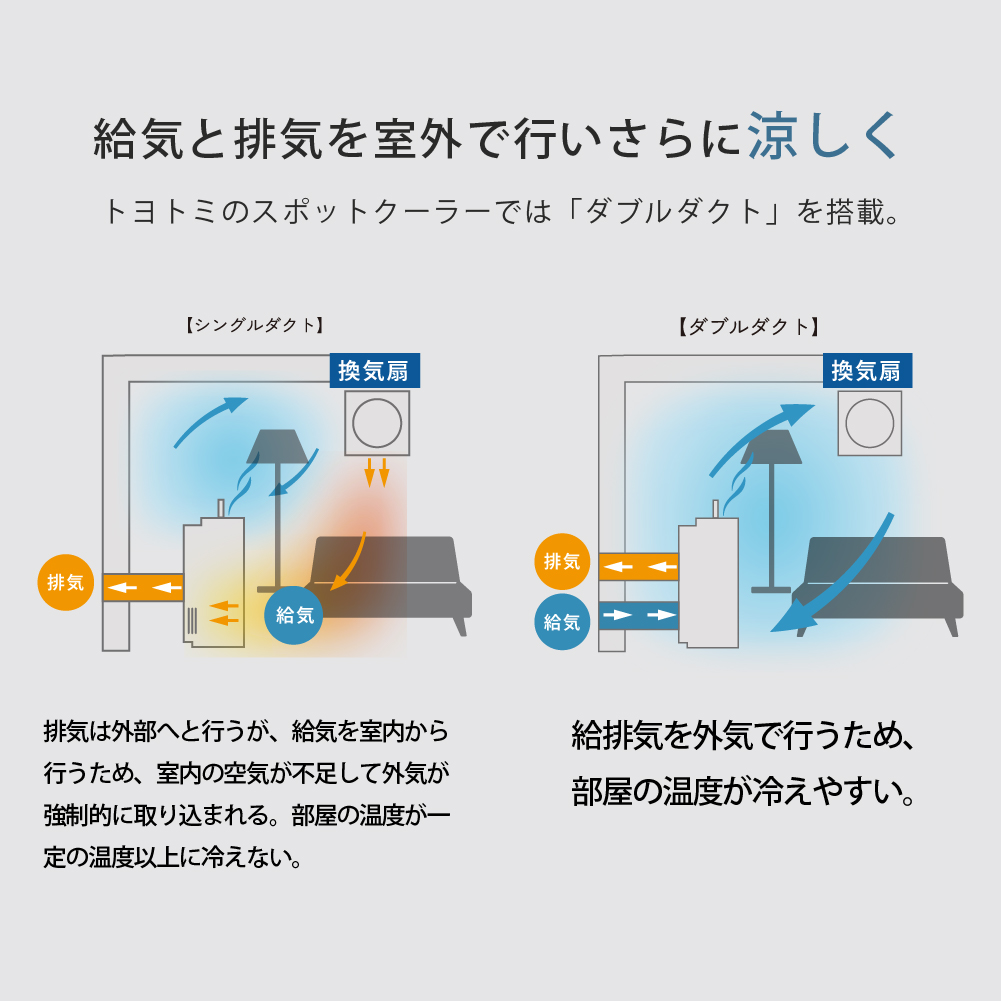 特徴